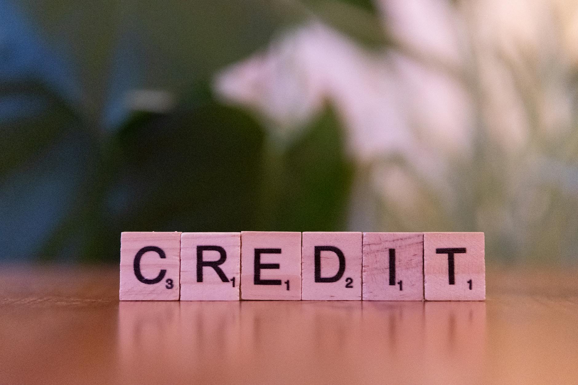 Close-up of wooden blocks spelling 'credit' with a blurred leafy background — TransferCredit.org