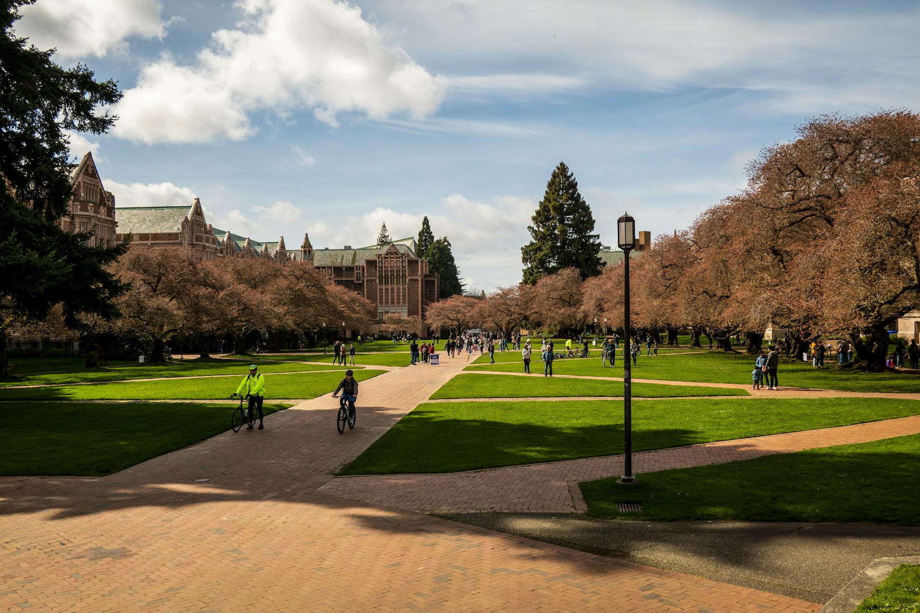 Scenic view of University of Washington campus with students and cherry blossoms on a sunny spring day — TransferCredit.org